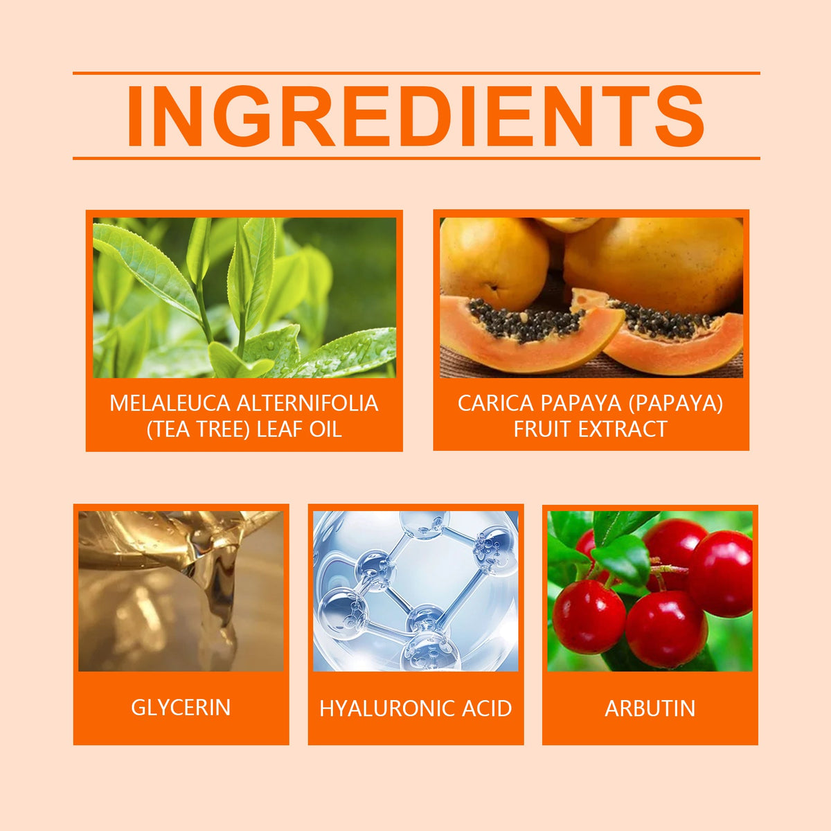 Papaya Face Wash Gentle Hydrating Moisturizing Skin Cleanser